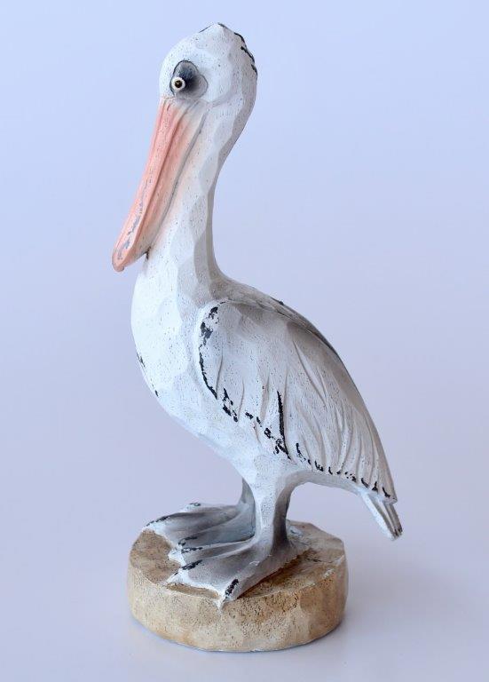 Large Pelican